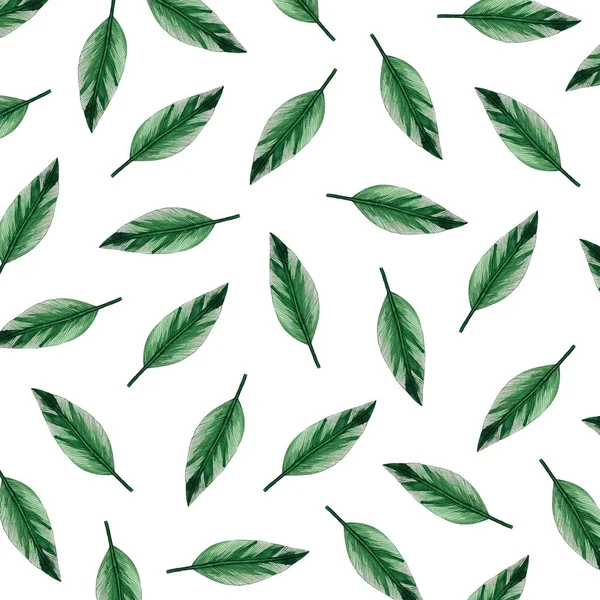 Akvarelu Botanická Ilustrace Vzor Bezešvé Zelené Listy Ručně Kreslené Ilustrace — Stock fotografie