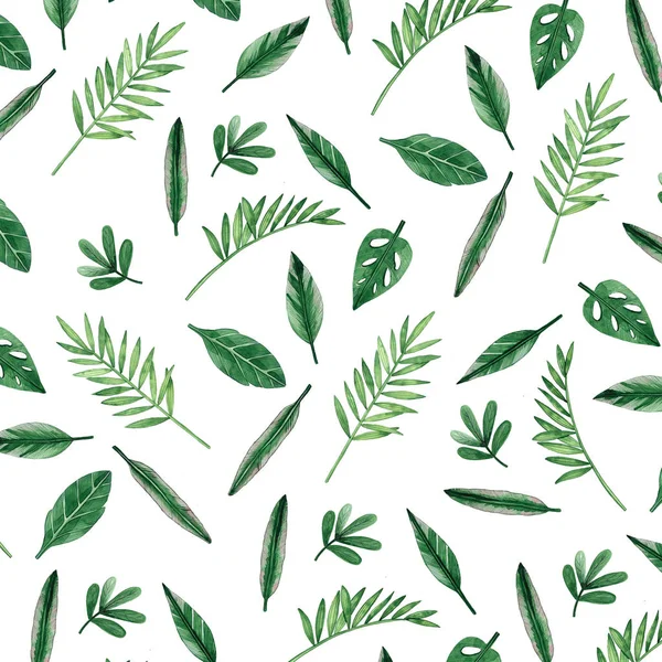 Illustrazione Botanica Acquerello Schema Senza Soluzione Continuità Foglie Verdi Illustrazione — Foto Stock