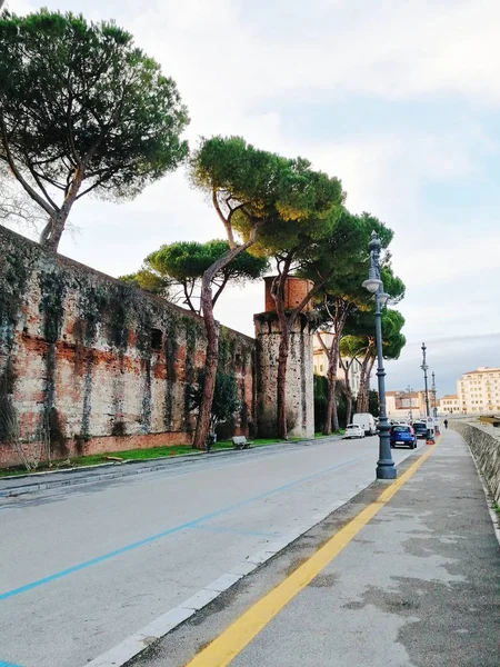 Rua Pisa Itália Vista Rua Edifícios — Fotografia de Stock