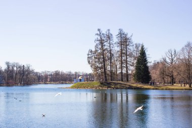 Çarskoye Selo, Puşkin. St. Petersburg banliyösü, Rusya. Park, göl ve bina manzarası