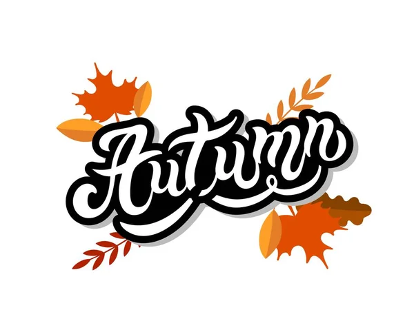 Autumn Hand Drawn Lettering Vector Illustration Best Autumn Design — Stock Vector