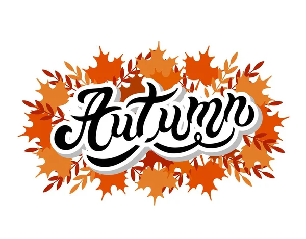 Autumn Hand Drawn Lettering Vector Illustration Best Autumn Design — Stock Vector