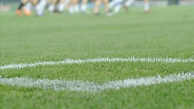 Köşe noktası yakınındaki bir stadyum futbol sahasında Dolly