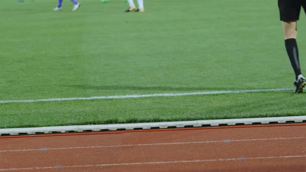 Assistente Árbitro Linesman Movendo Longo Linha Lateral Durante Jogo Futebol — Vídeo de Stock