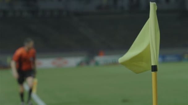 Assistente Árbitro Linesman Movendo Longo Linha Lateral Durante Jogo Futebol — Vídeo de Stock