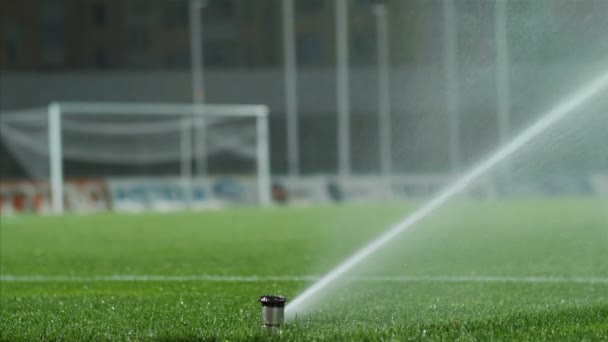 Tiro Noturno Futebol Sistema Irrigação Campo Futebol Grama Rega Automática — Vídeo de Stock