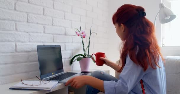 Praca Domu Bizneswoman Freelancer Pracuje Domu Wpisując Mail Laptopie Skupiona — Wideo stockowe