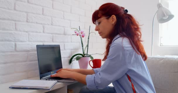 从家里工作的概念 从事自由职业的女商人从家里用笔记本电脑输入电子邮件 专心致志地使用电脑坐在沙发上 女性用户忙着上网 — 图库视频影像