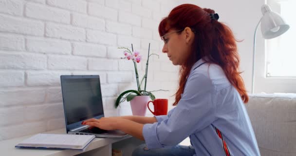 Trabajo Desde Concepto Casa Mujer Negocios Freelancer Que Trabaja Desde — Vídeos de Stock