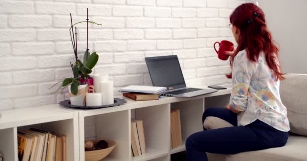 从家里工作的概念 从事自由职业的女商人从家里用笔记本电脑输入电子邮件 专心致志地使用电脑坐在沙发上 女性用户忙着上网 — 图库视频影像