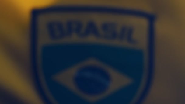 Brezilya Millî Futbol Takımı Nın Detaylı Fotoğrafı Seleo Brasileira4K Dolly — Stok video