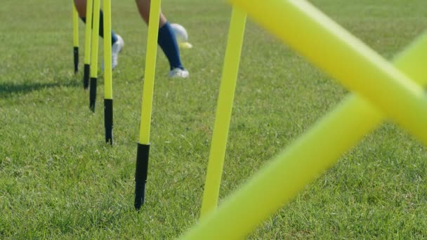 Equipo Entrenamiento Agilidad Fútbol Jugadora Joven Fútbol Profesional Con Postes — Vídeo de stock