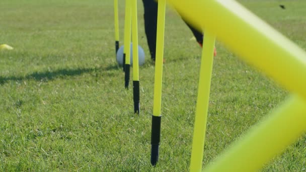 Träningsutrustning För Fotbollsträning Fotbollsspelare Ben Dribbling Boll Bland Smidighet Stavar — Stockvideo