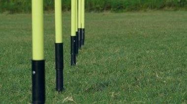 Futbol antrenmanı için sıralı direkler, 4k doli