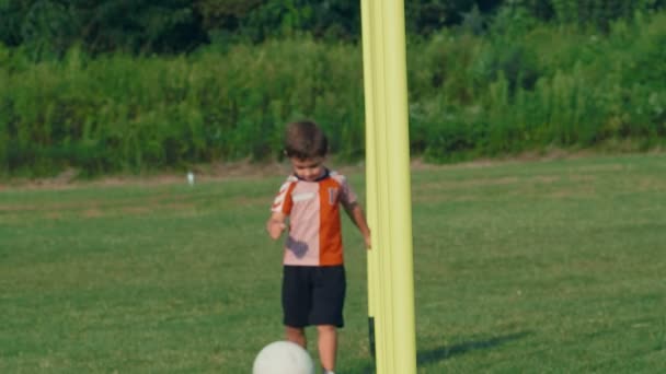 野球場でサッカーボールを持つ4歳の少年4K — ストック動画