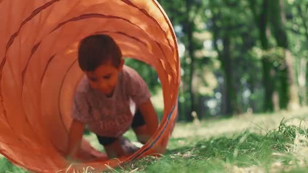 Niño Pequeño Arrastrándose Túnel Juguete Infantil Parque — Vídeos de Stock