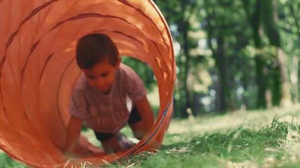 Niño Pequeño Arrastrándose Túnel Juguete Infantil Parque — Vídeo de stock