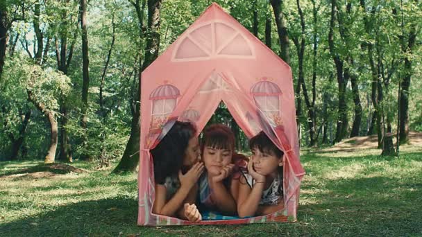 3ガールフレンド遊びますゴシップ嘘でテントのおもちゃで公園 — ストック動画