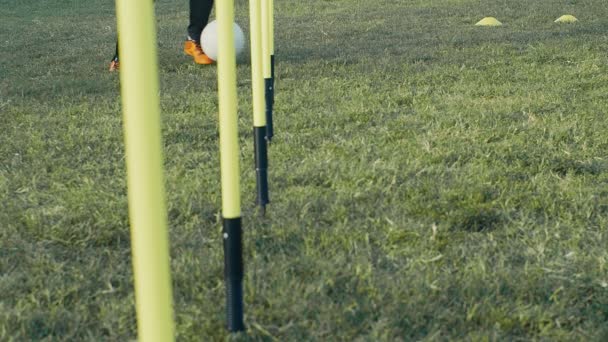 Hombre Irreconocible Está Entrenando Con Una Pelota Fútbol Campo Cámara — Vídeo de stock