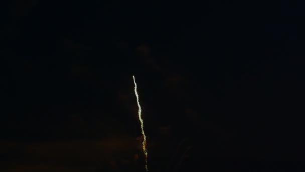 Fuochi Artificio Durante Notte Vacanza — Video Stock
