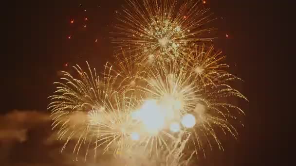 Fuochi Artificio Durante Notte Vacanza — Video Stock