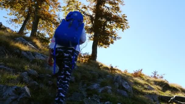在一个阳光明媚的秋天里 一个低角度的女游客在山上散步 — 图库视频影像