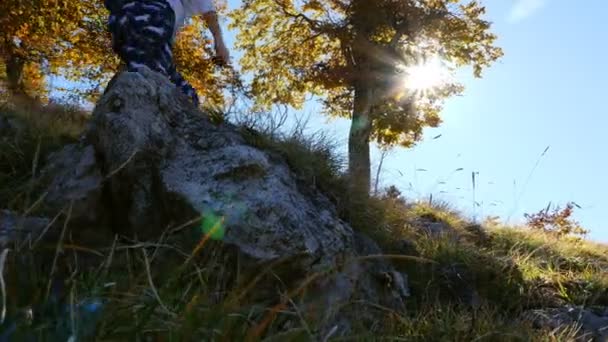 Ângulo Baixo Uma Mulher Turista Andando Montanha Dia Ensolarado Outono — Vídeo de Stock