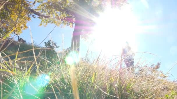 Low Angle Woman Tourist Walking Mountain Sunny Autumn Day — Stock Video