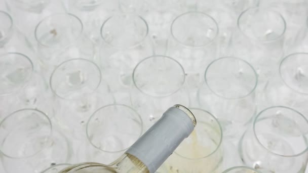 Verser Champagne Dans Des Verres Élégamment Aligné Une Rangée Verres — Video