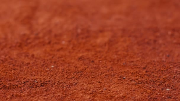 Kırmızı Kil Tenis Kortunun Arka Planı Doli — Stok video
