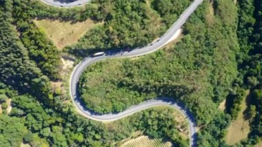 Ormanda virajlı bir yolda giden arabaların hava görüntüsü, 4K