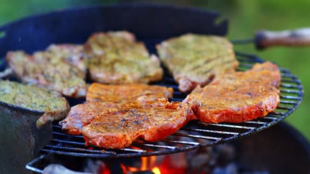 Köstliche Saftige Fleischsteaks Und Würstchen Auf Dem Grill Auf Feuer — Stockvideo