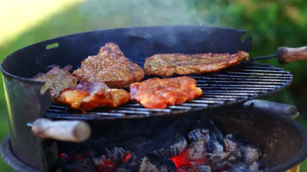 Köstliche Saftige Fleischsteaks Und Würstchen Auf Dem Grill Feuer Und — Stockvideo