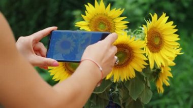 Bir kadın, yeşil bir bahçedeki vazoda güzel sarı ayçiçeklerinden oluşan bir buketin akıllı telefonuyla fotoğraf çekiyor.