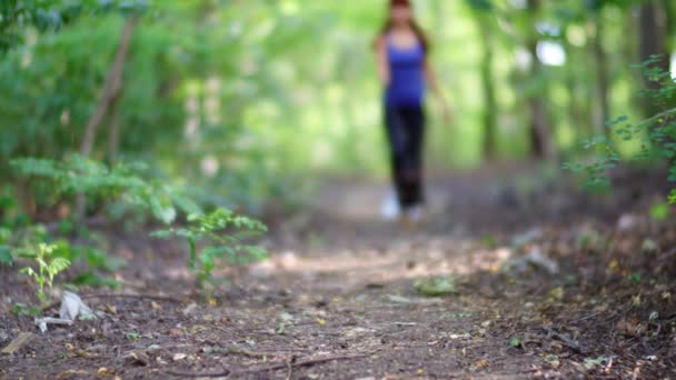 和狗一起在森林里跑的女人无忧无虑地享受与宠物共度的夏天 — 图库视频影像