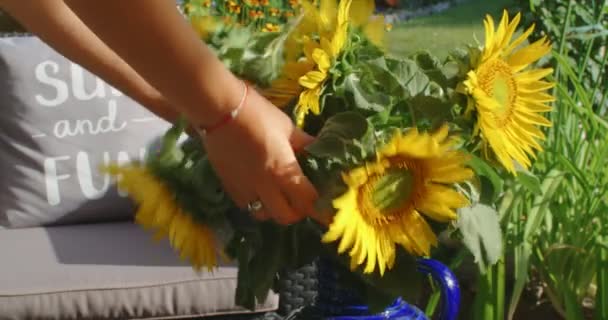 Una Mujer Arreglando Ramo Hermosos Girasoles Amarillos Jarrón Jardín Verde — Vídeo de stock