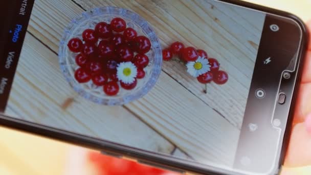 Feminino Tirando Foto Groselhas Vermelhas Usando Telefone Celular — Vídeo de Stock