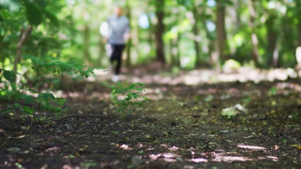 Detaljerad Bild Benen Man Som Springer Jogging Trä Skog Slow — Stockvideo