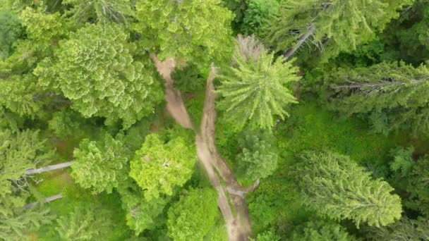 Drone Aéreo Vista Del Verde Bosque Montañoso Con Ciclistas Montaña — Vídeos de Stock