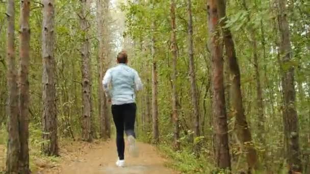 Tracking Camera Young Man Running Jogging Autumn Park Wood Forest — Stock Video