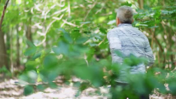 Man Running Jogging Wood Forest Slow Motion — Stock Video