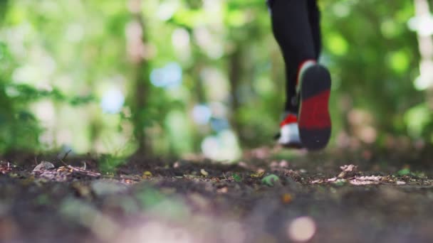 一个在树林里慢跑的男子的腿的细节镜头 4K慢动作 — 图库视频影像