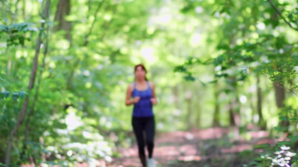Donna Che Corre Correndo Jogging Nel Bosco Nella Foresta Slow — Video Stock
