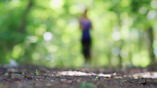 Detalle Las Piernas Una Mujer Corriendo Bosque Cámara Lenta — Vídeo de stock
