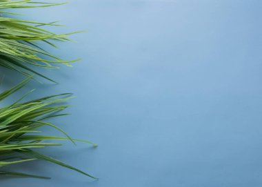 Mavi bir arka plan üzerinde suni çim