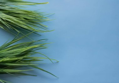 Mavi bir arka plan üzerinde suni çim