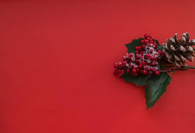 kırmızı meyveler ve koniler kırmızı parlak arka plan üzerinde