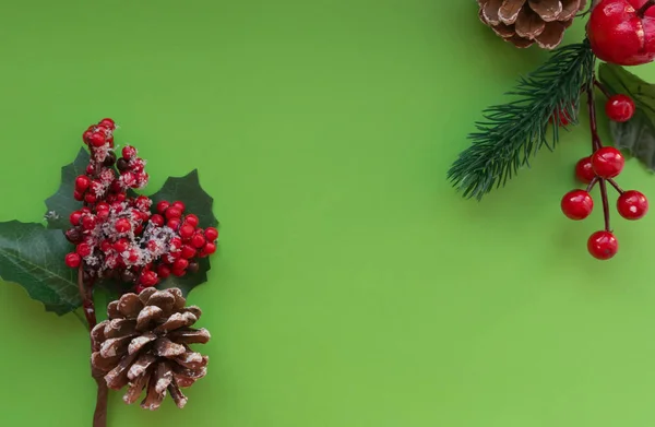 Ein Bund Roter Beeren Auf Grünem Hintergrund Stockbild