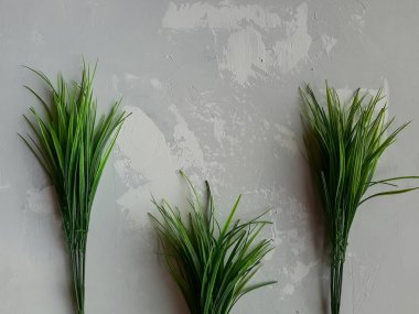 Gri tarafsız alçı arka planda yeşil çimen