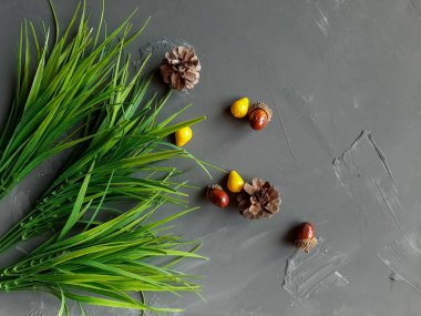 Gri arkaplanda yeşil çimenler